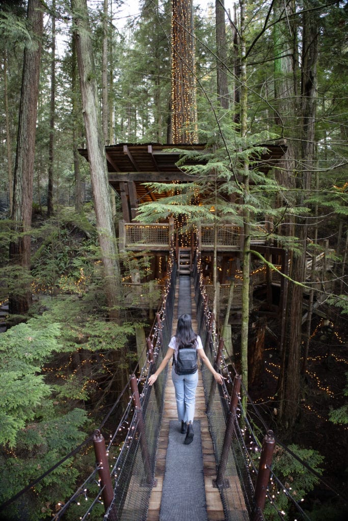 Treetops adventure photo at the Capilano Suspension Bridge in North Vancouver