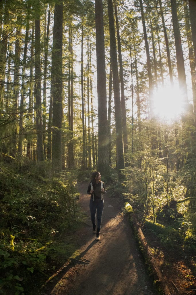 Hiking in a forest at the Capilano Pacific trail in North Vancouver, British Columbia.