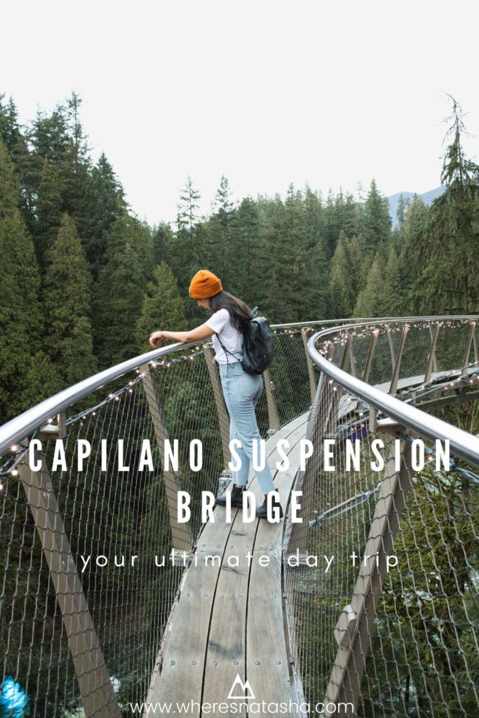 Visit the Capilano Suspension Bridge in Vancouver, British Columbia during the winter canyon lights display.